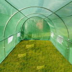Sera solar tip tunel, 10x3x2 m, ferestre cu plasa anti-insecte, 1 usa rulanta, folie pe cu filtru uv4, verde