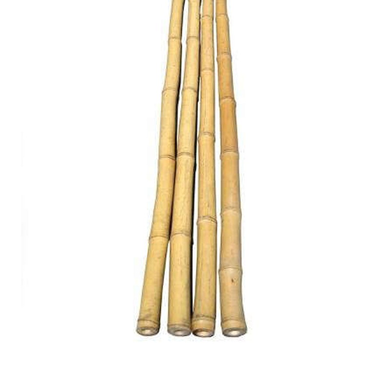 Arac din bambus pentru sustinere plante, diametru 14 mm, lungime 180 cm