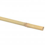 Arac din bambus pentru sustinere plante, diametru 14 mm, lungime 180 cm