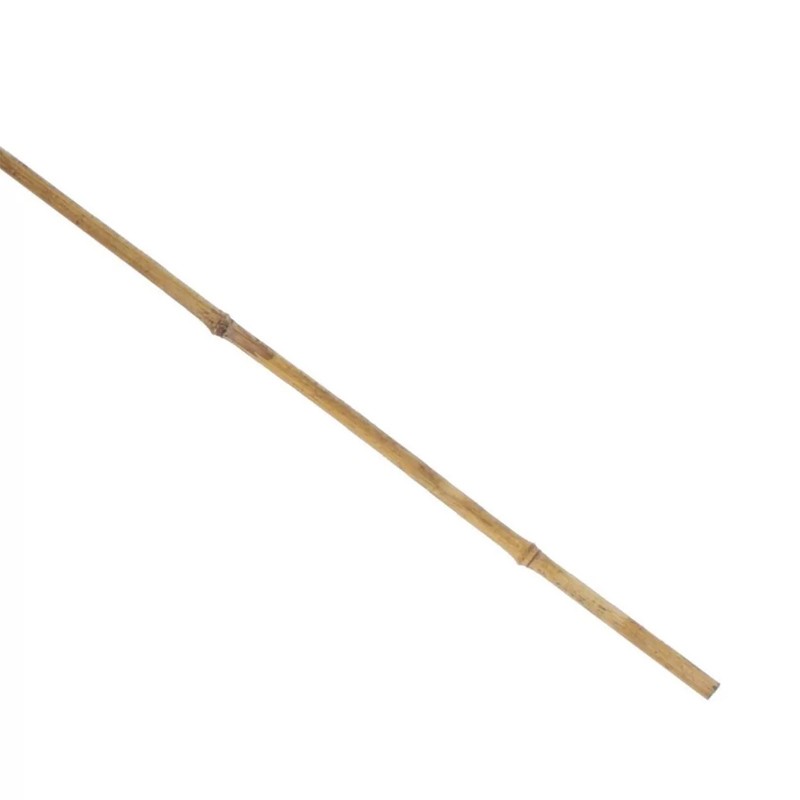 Arac din bambus pentru sustinere plante, diametru 14 mm, lungime 180 cm