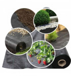 Folie agrotextil, antiburuieni, 70g/mp, filtru uv, 1.6x50 metri, hdpe