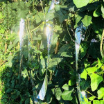 Banda reflectorizanta anti pasari, model holografic, pvc, latime 5 cm, 80 m,argintie