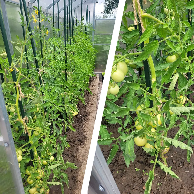 Spalier plante cataratoare, tip a, inaltime 180 cm, tije 16 mm, plasa 1,8x3,2 m