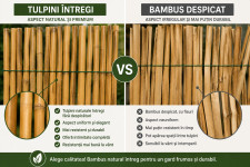 Gard din bambus natural 150x150 cm - paravan decorativ din tulpini intregi pentru gradina, terasa si balcon