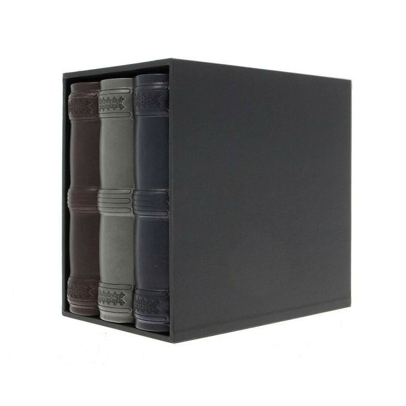 Set 3 albume foto 10x15, elegant, 600 poze, piele ecologica, cutie decorativa lemn