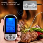 Termometru digital cu sonda, citire instantanee, wireless, ecran lcd