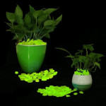Pietricele fosforescente decorative glow verde deschis, decor exterior si interior pachet 100 grame