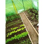 Sera tip tunel, 3.5x2x2 m, folie pe 140g/mp, cadru metalic, filtru uv4