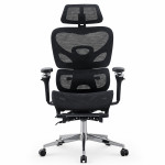 Scaun ergonomic de birou, sezut reglabil pe adancime, cotiere 5d, spatar si tetiera reglabile, suport picioare, mesh culoare negru