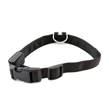 Zgarda luminoasa led pentru caini, marime s, 3 moduri iluminare culoare albastru
