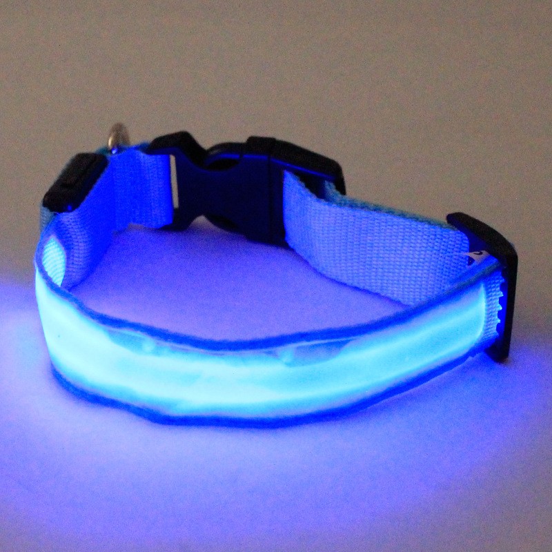 Zgarda luminoasa led pentru caini, marime s, 3 moduri iluminare culoare albastru