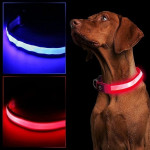Zgarda luminoasa led pentru caini, marime s, 3 moduri iluminare culoare rosu