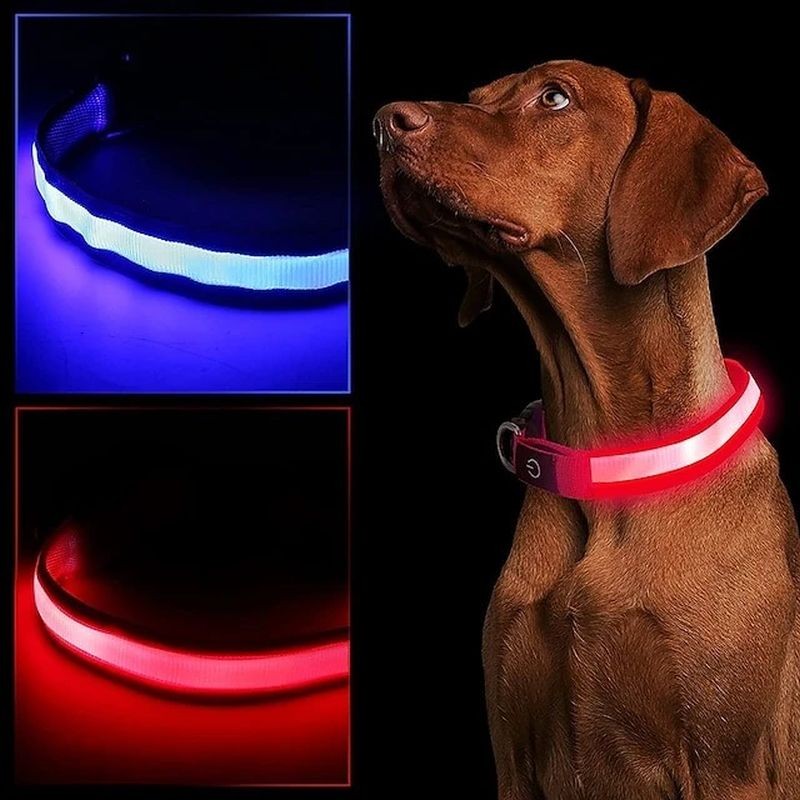 Zgarda luminoasa led pentru caini, marime s, 3 moduri iluminare culoare rosu